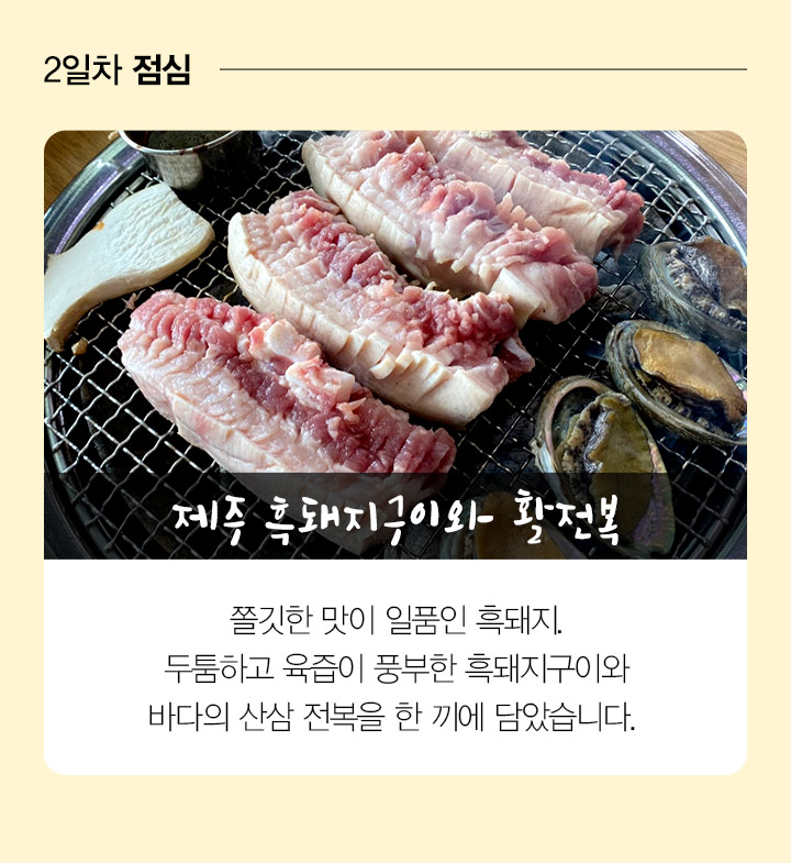 기획전/이벤트