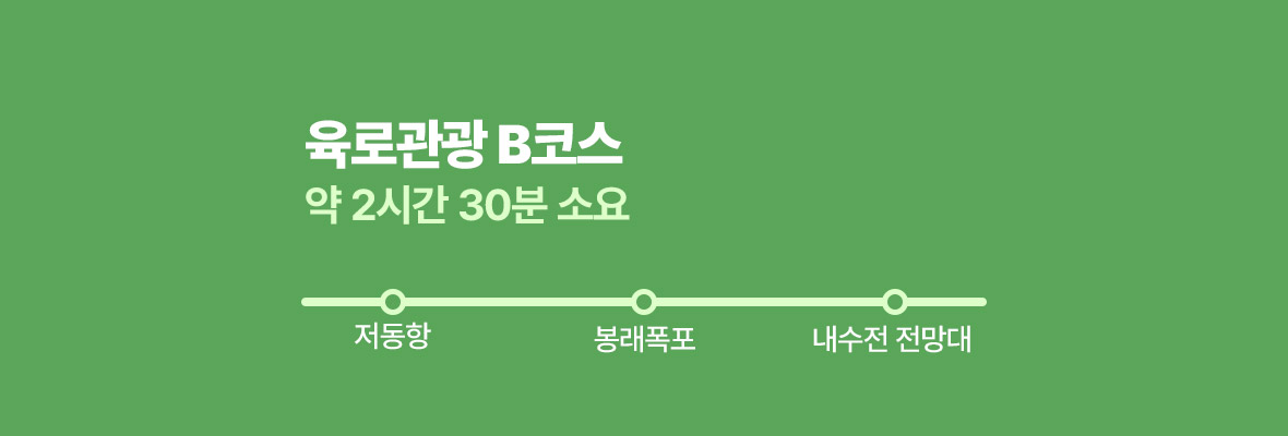 울릉도 육로관광 B코스