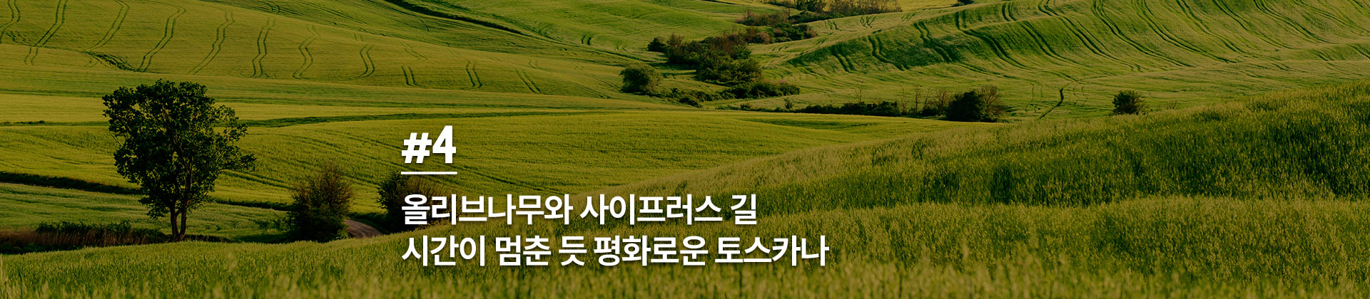 토스카나 타이틀