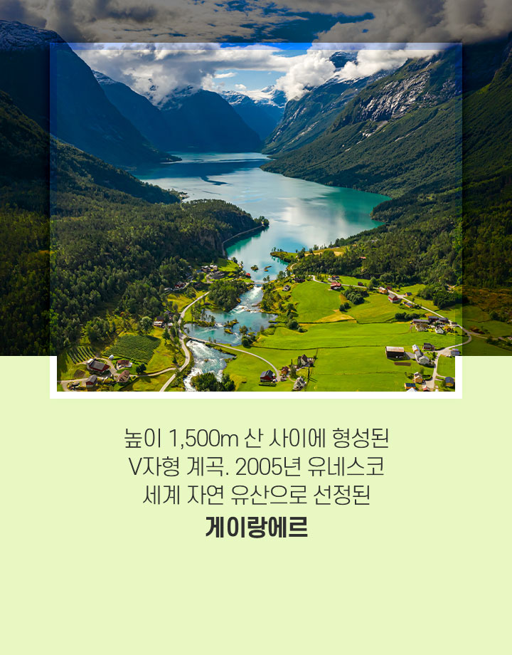 기획전/이벤트