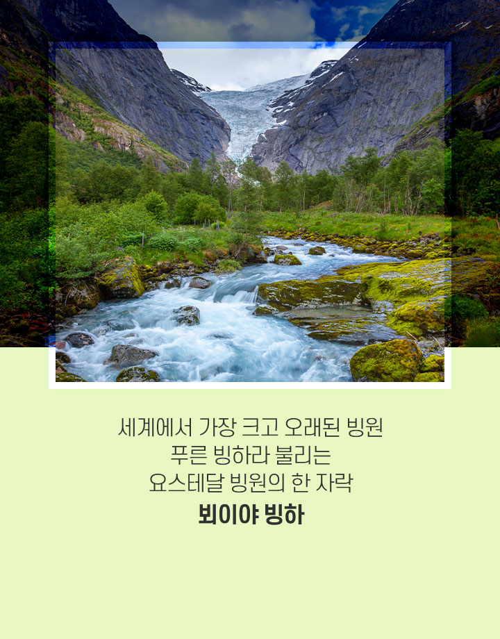 기획전/이벤트