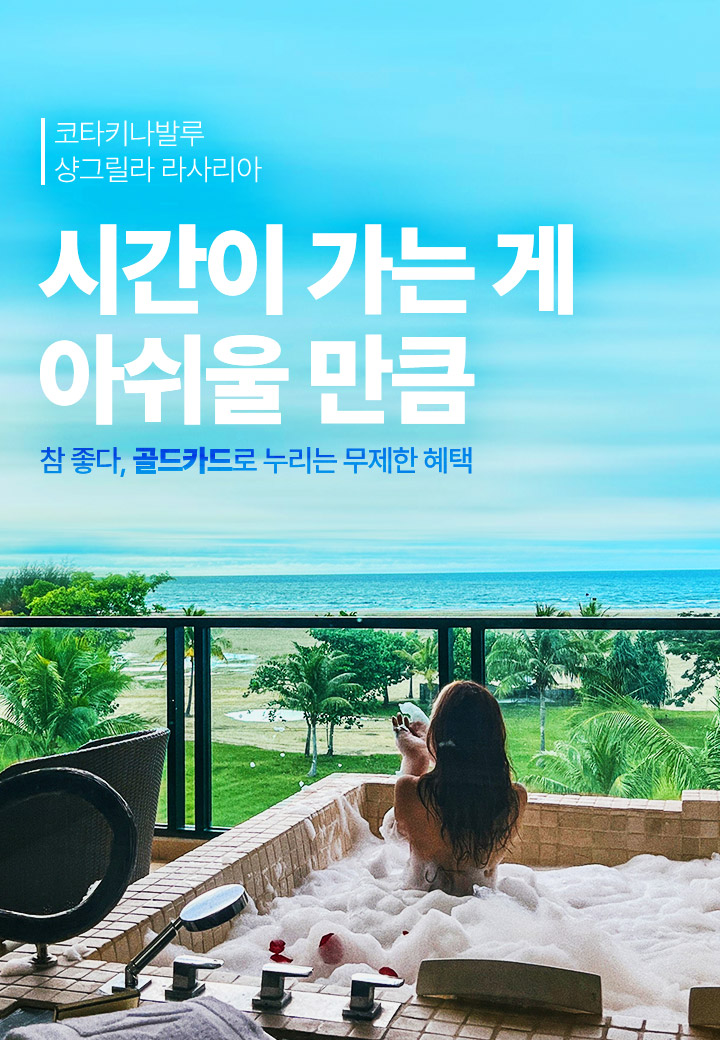 기획전