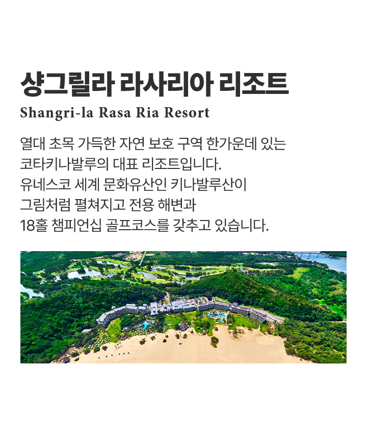 기획전