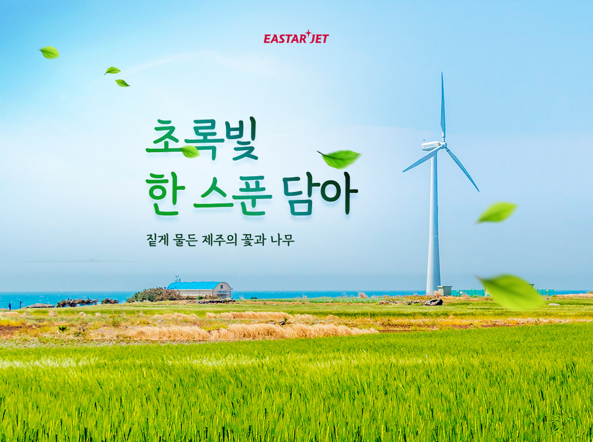 메인