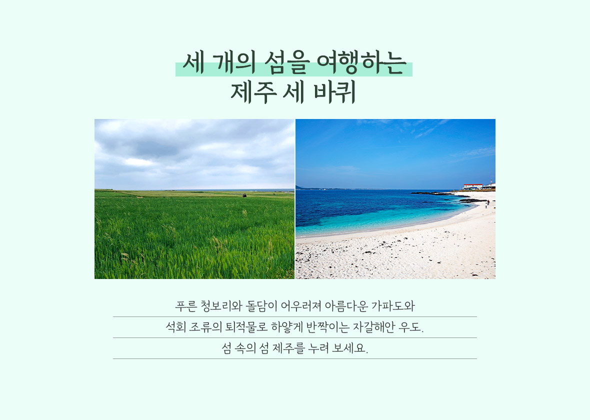 일정3