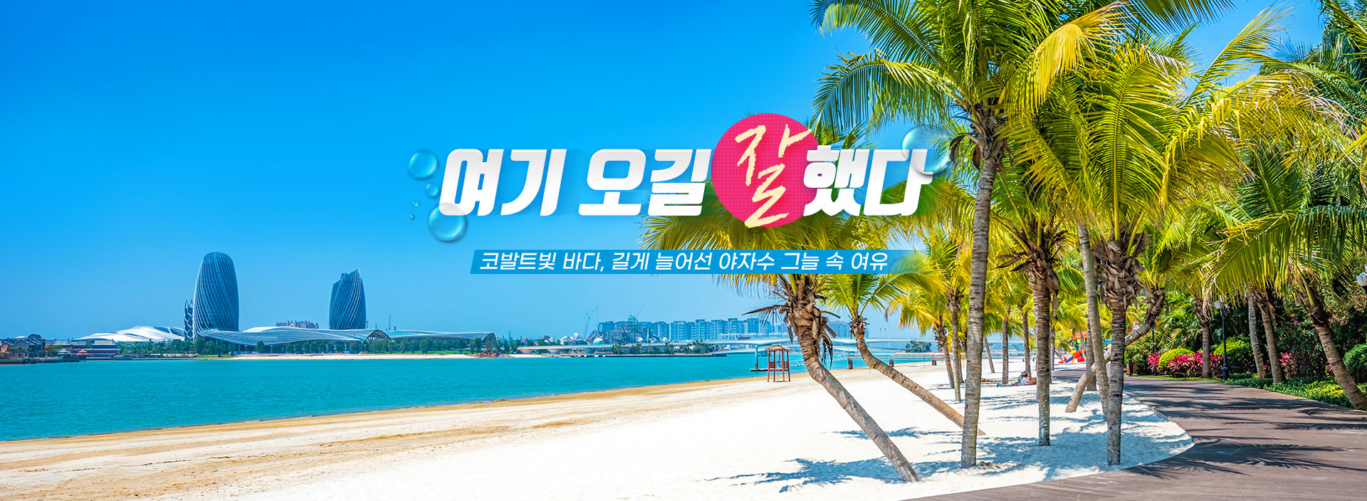 상단이미지