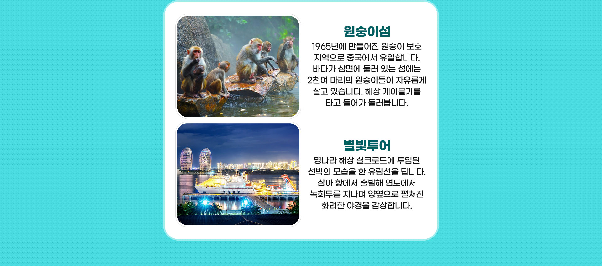 원숭이섬 별빛투어