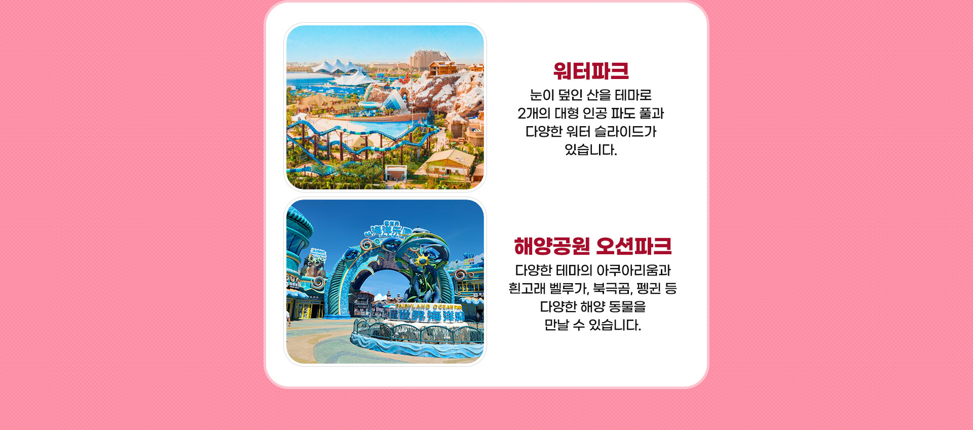 워터파크 해양공원 오션파크