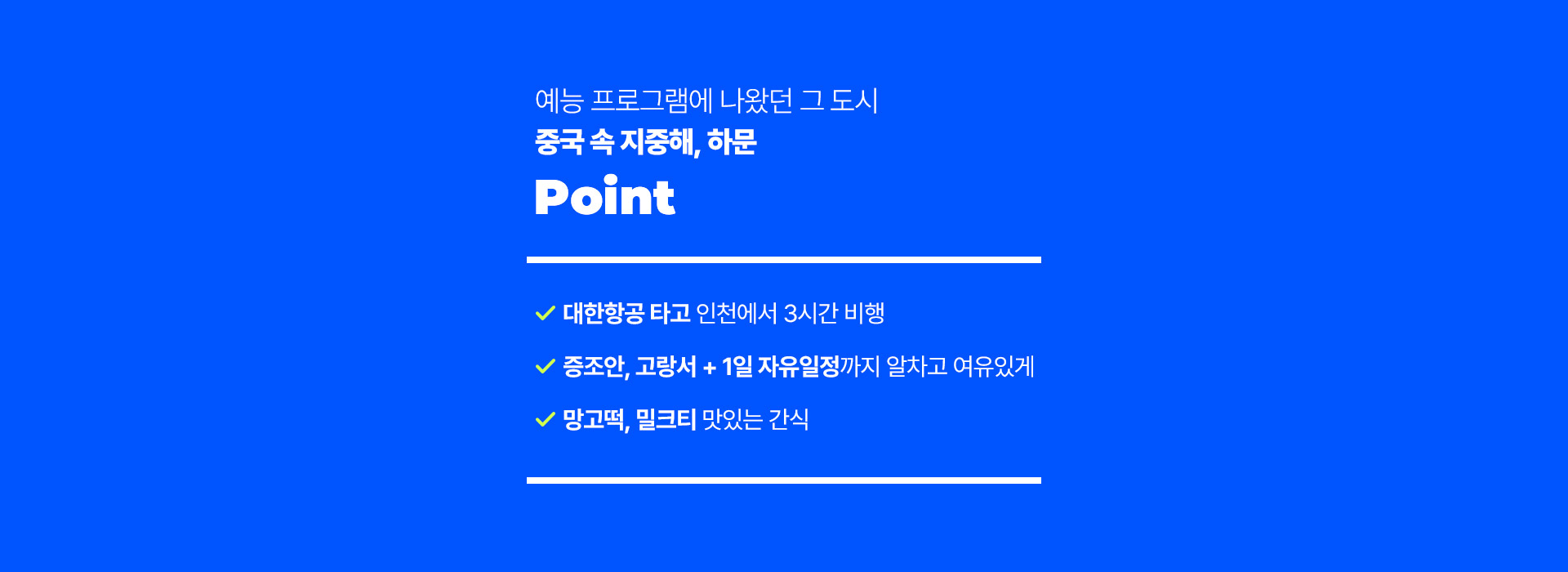 포인트
