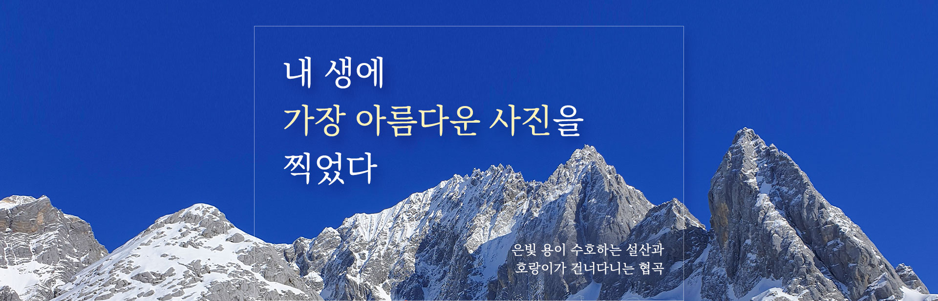 상단이미지