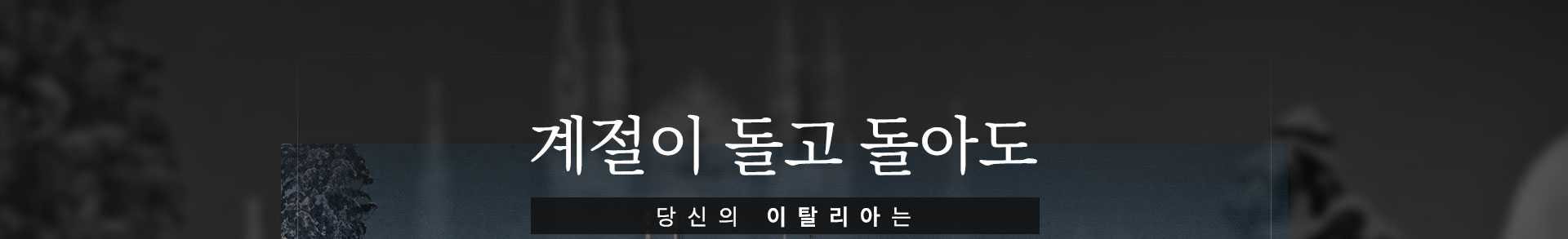 상단이미지