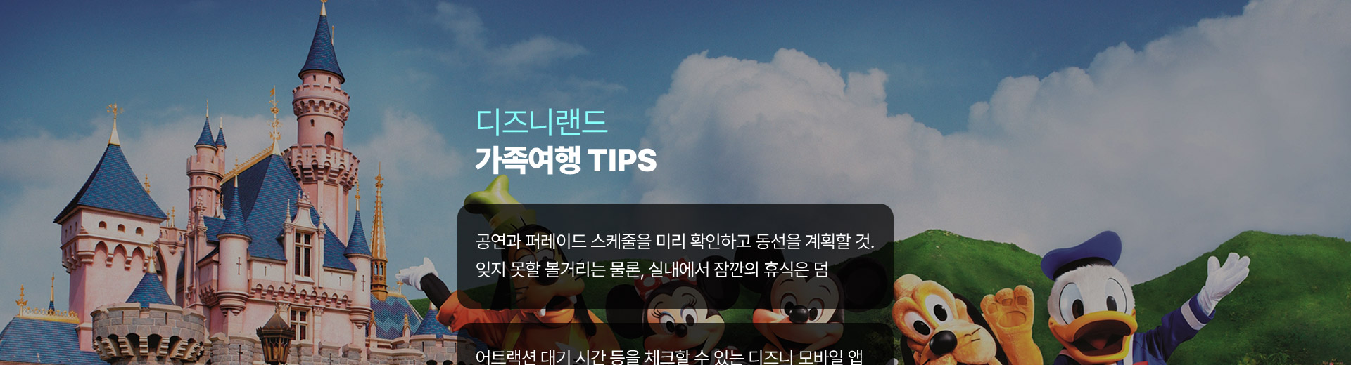 기획전