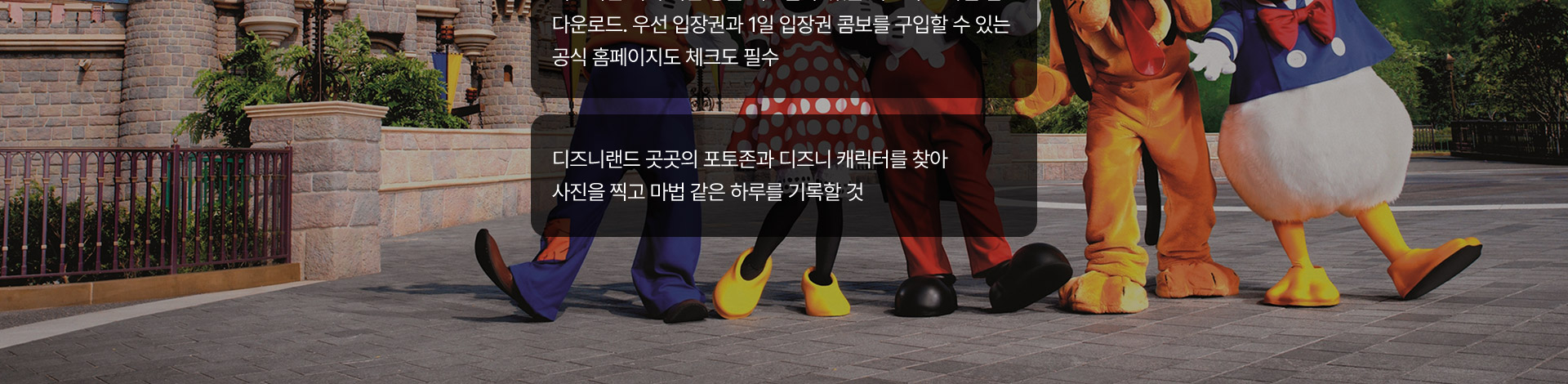 기획전