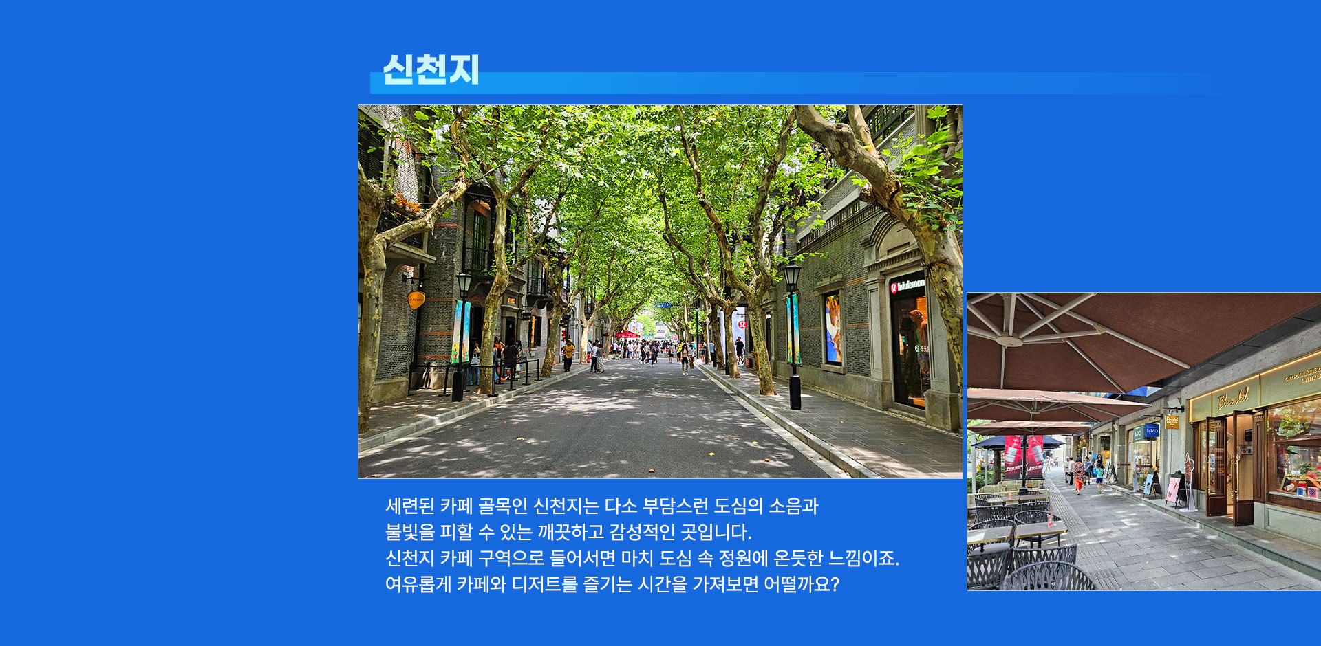 신천지