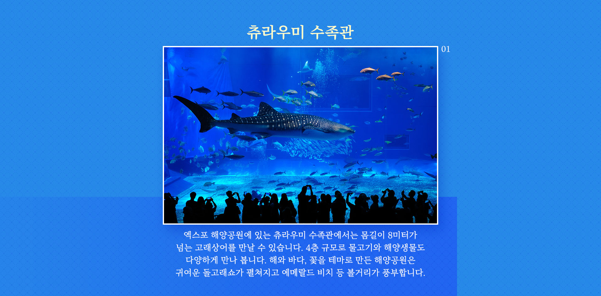 츄라우미 수족관