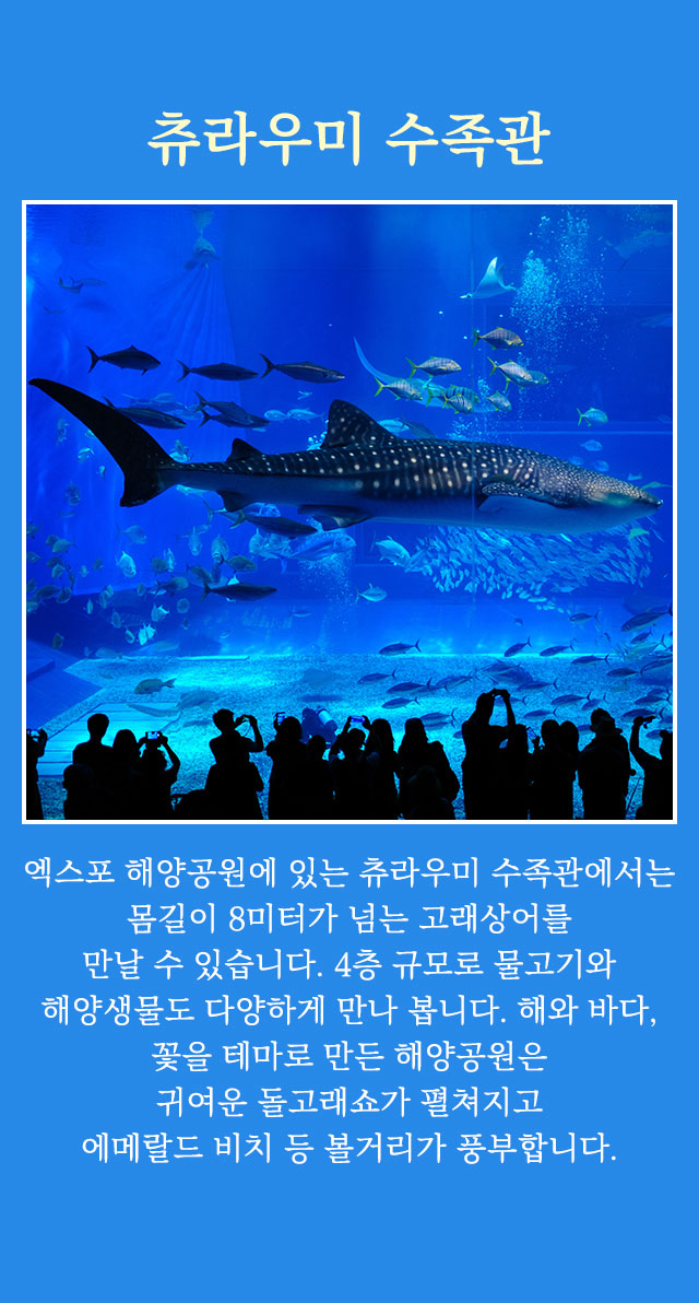 츄라우미 수족관