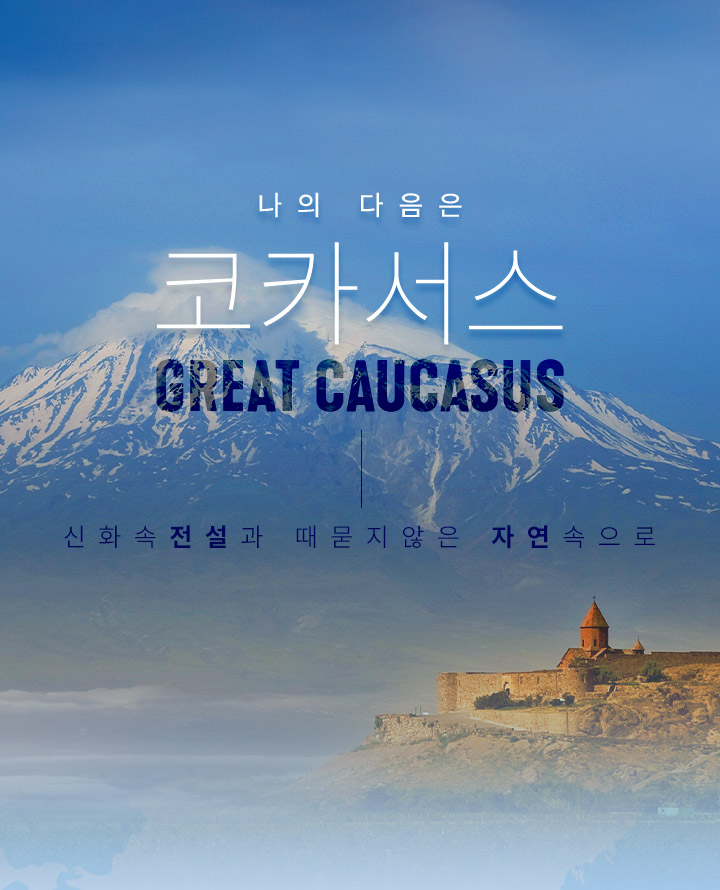 기획전