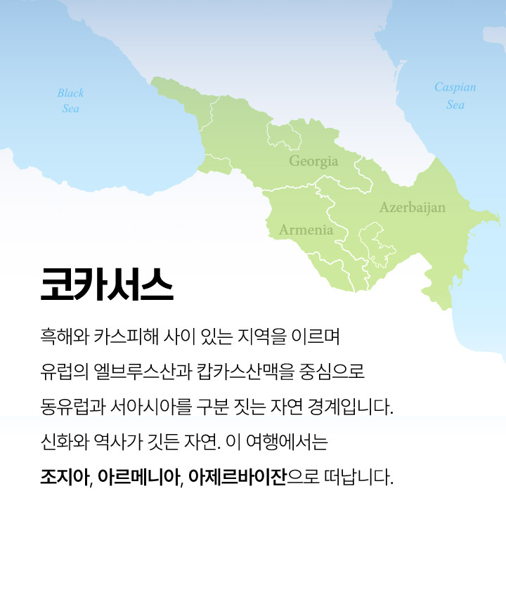 기획전