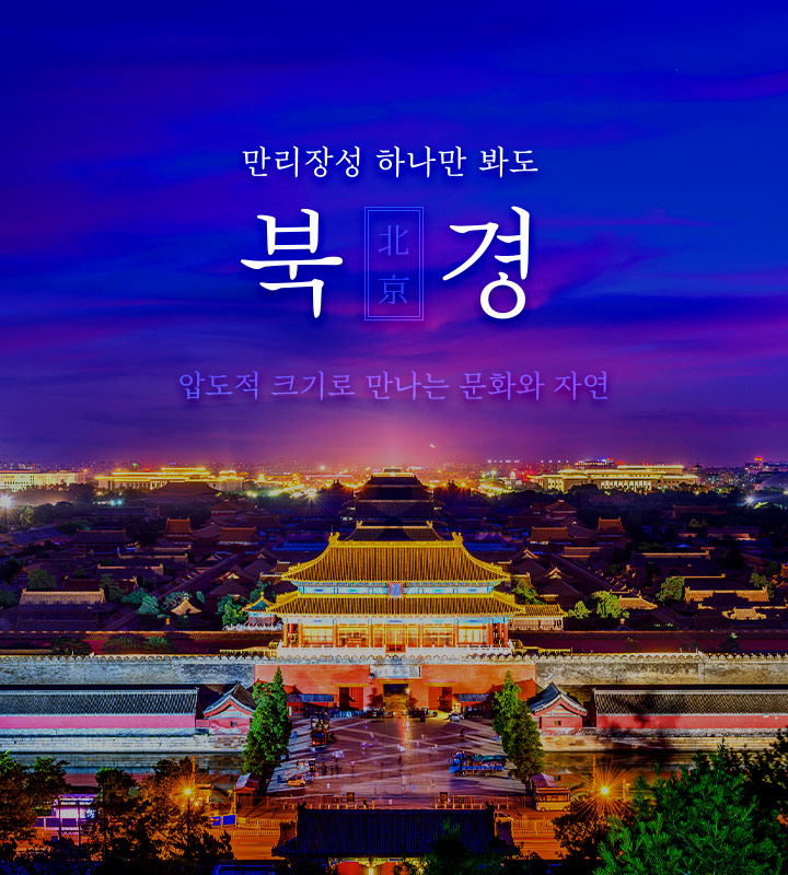 기획전