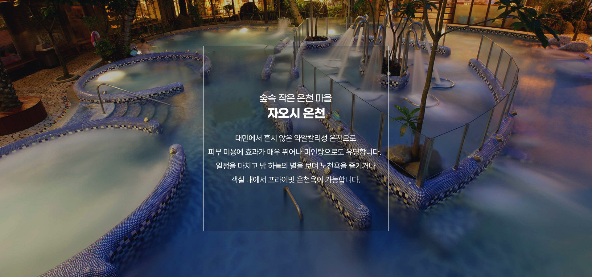 포인트