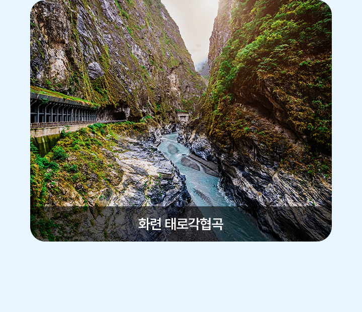 기획전/이벤트