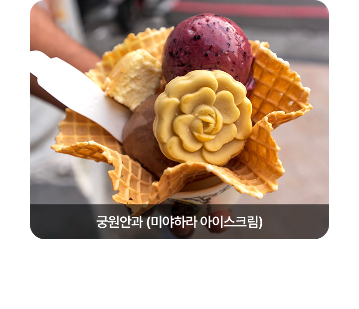 기획전/이벤트
