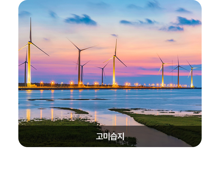 기획전/이벤트