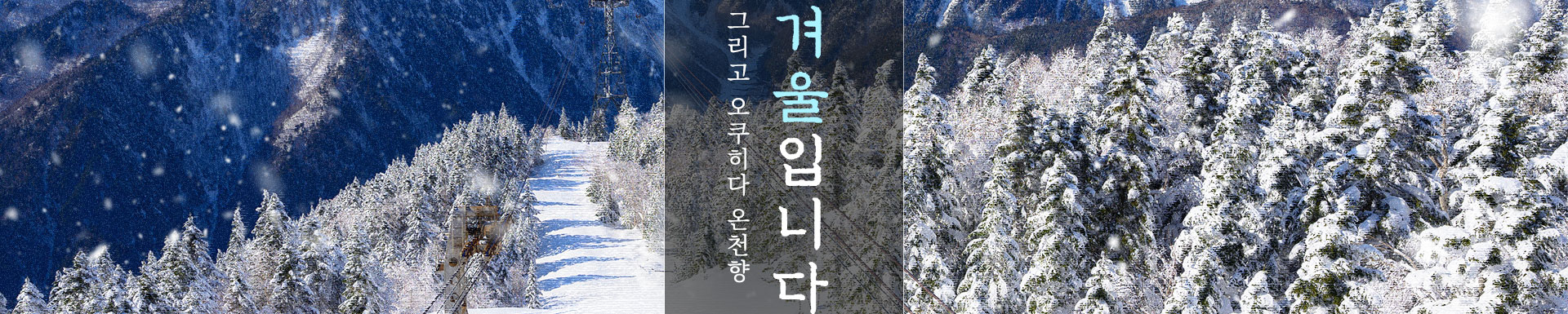 상단