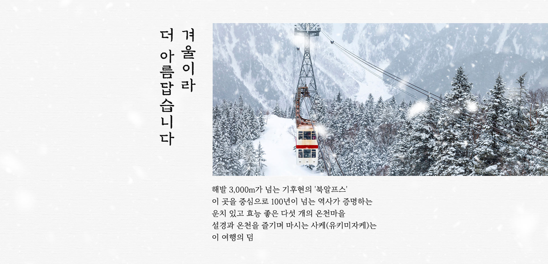 겨울이라 더 아름답습니다