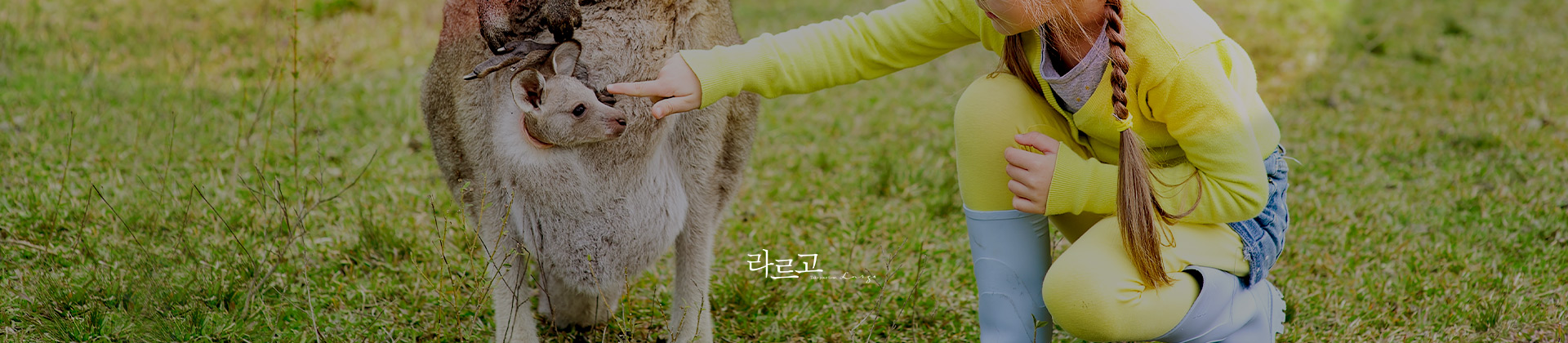 메인2