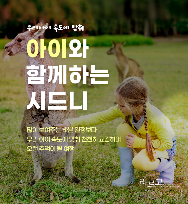 기획전