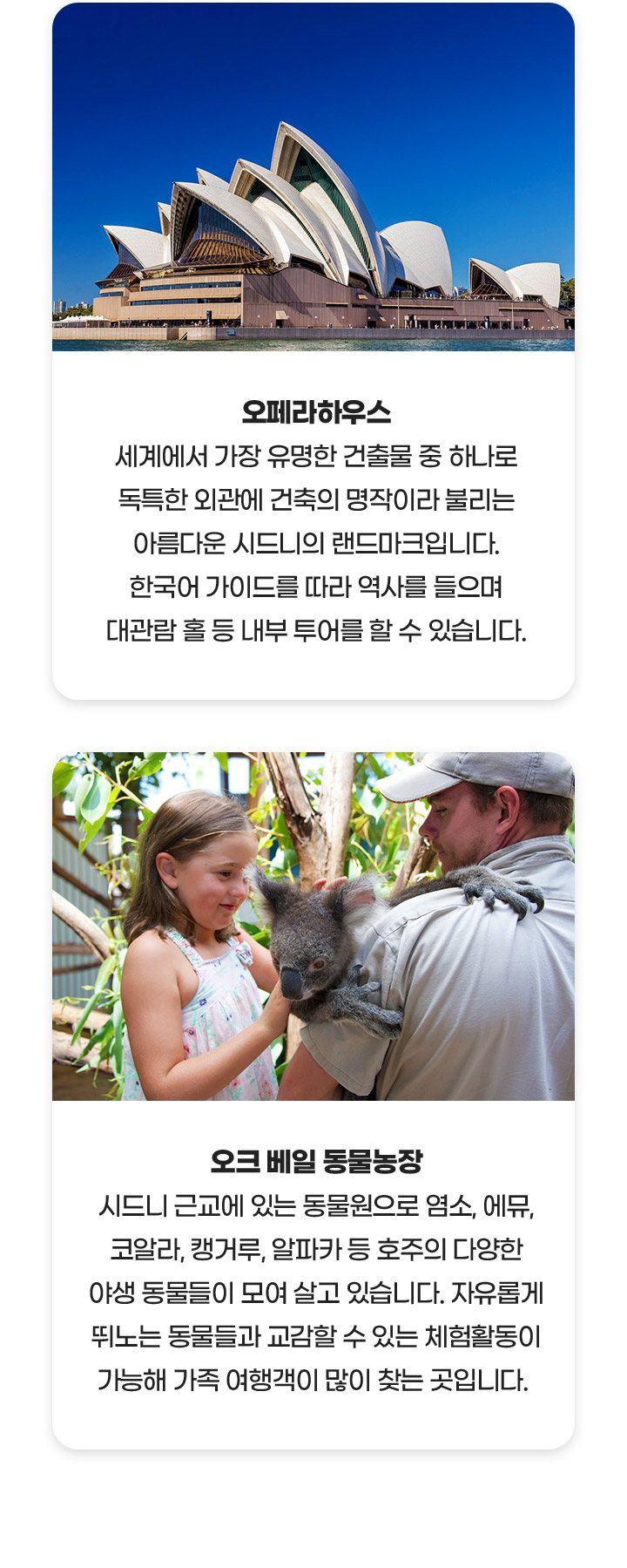기획전