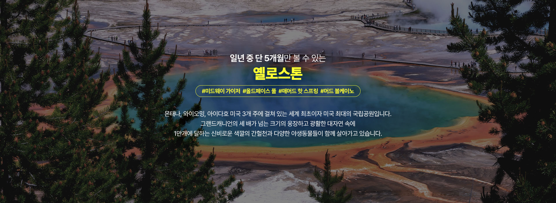 포인트