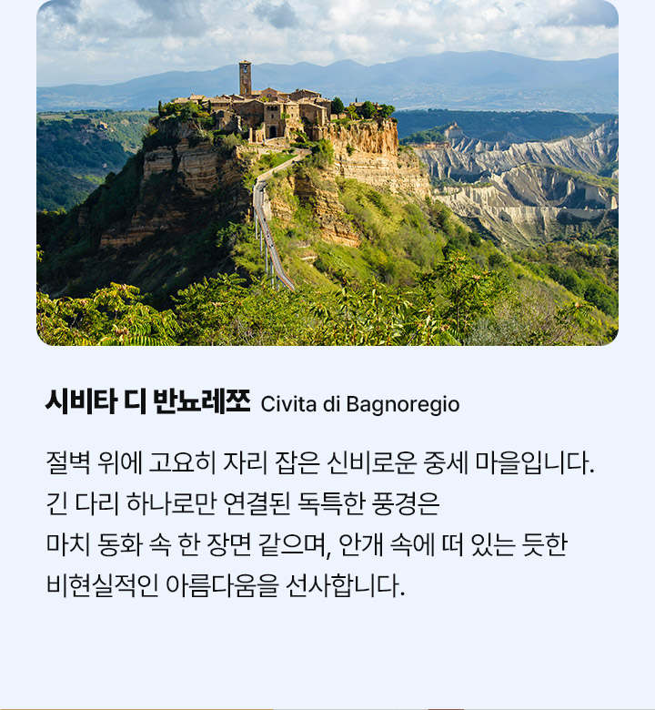 기획전/이벤트