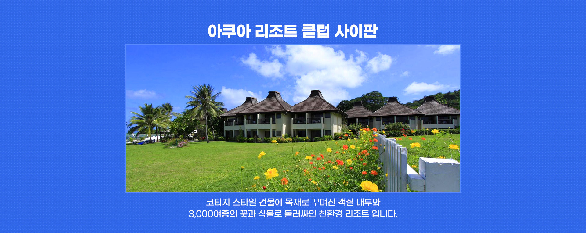 마카오포인트