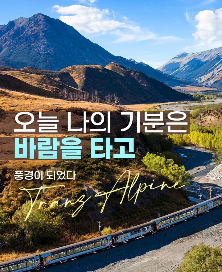 상단