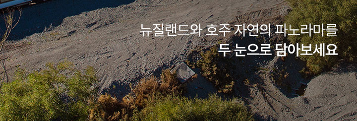 상단