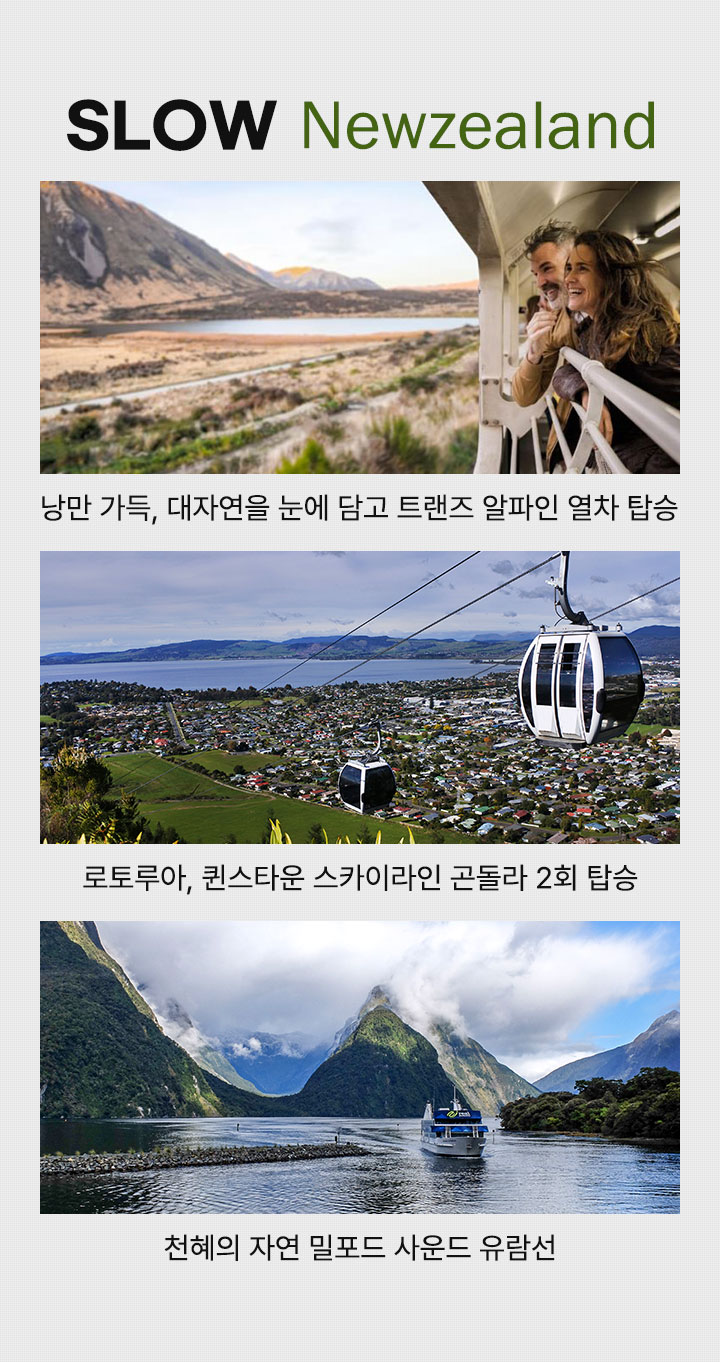 뉴질랜드