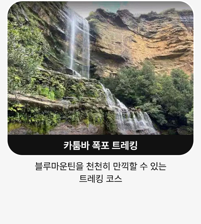 시디 부 사이드