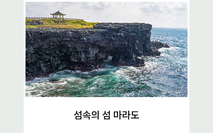 기획전