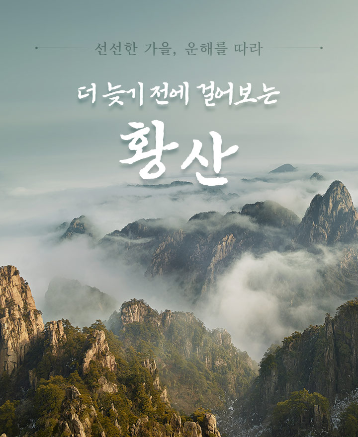 메인