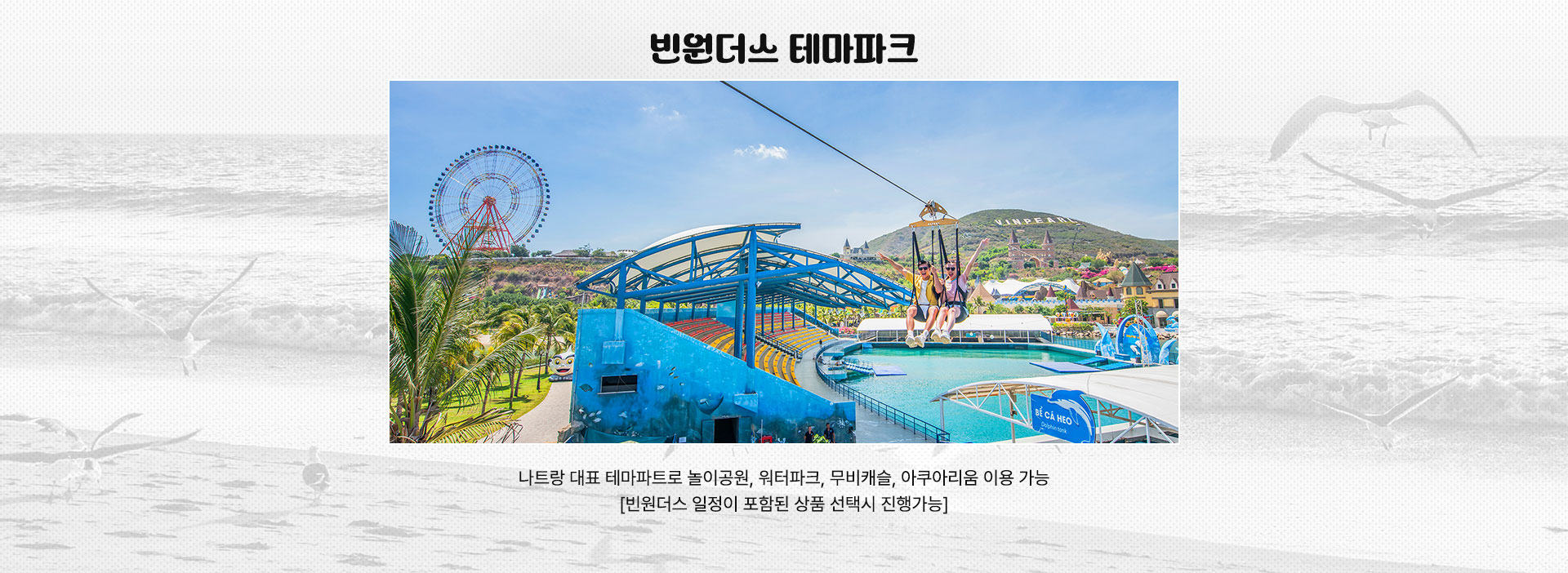 빈원더스