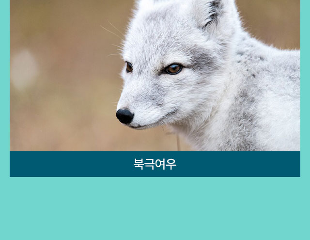 컨텐츠
