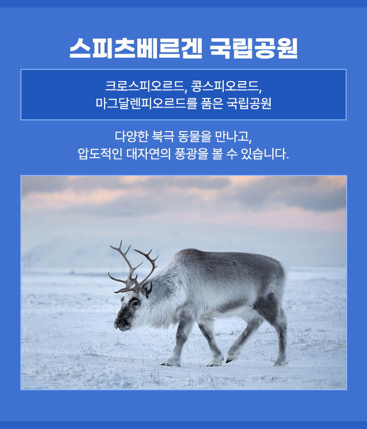 컨텐츠