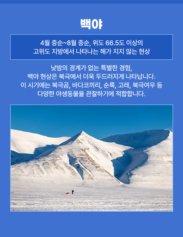 컨텐츠