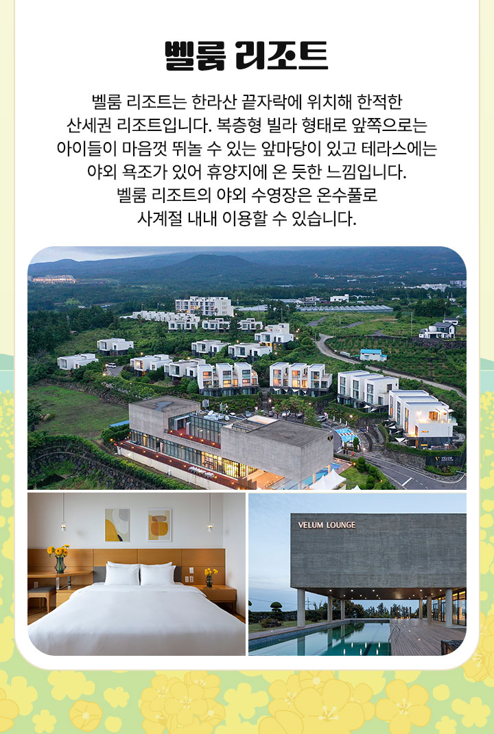컨텐츠