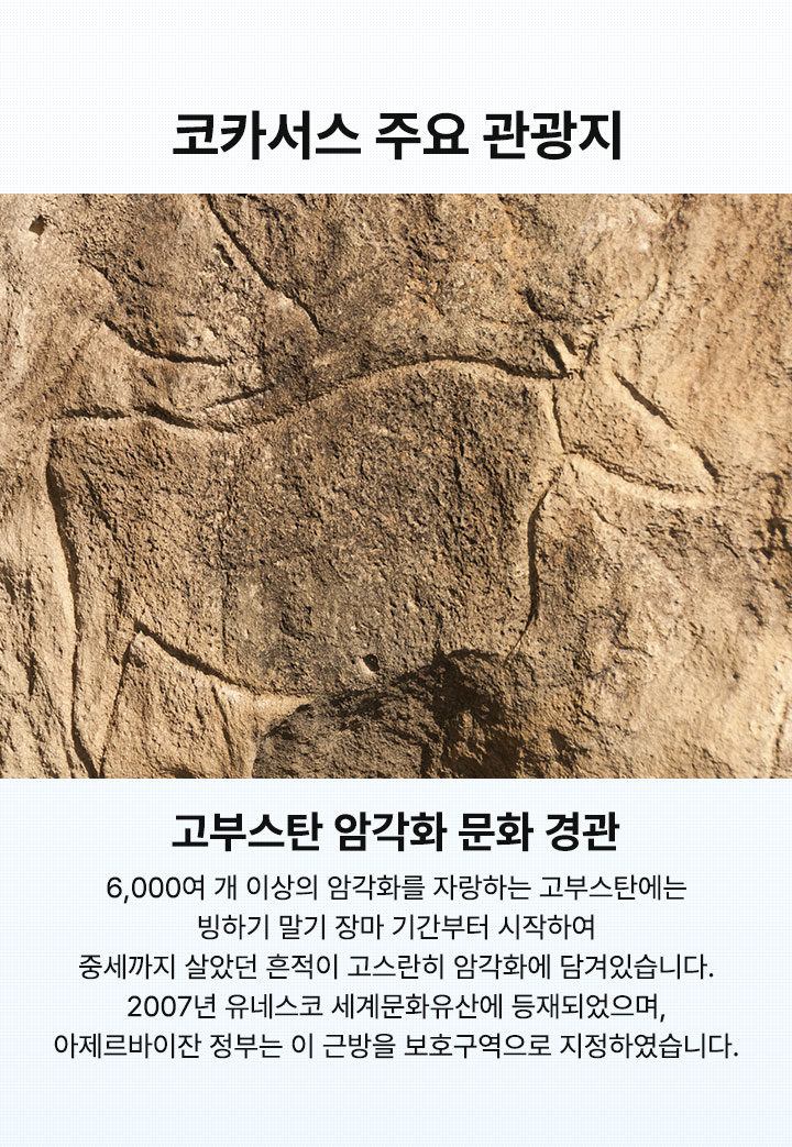컨텐츠