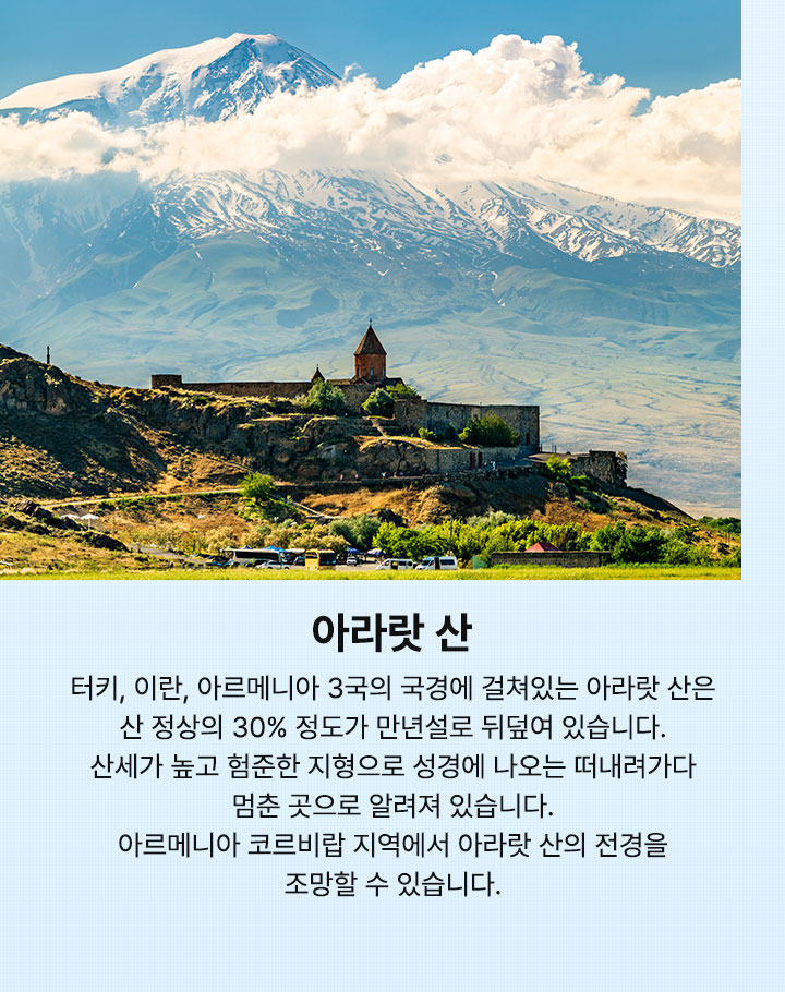 컨텐츠