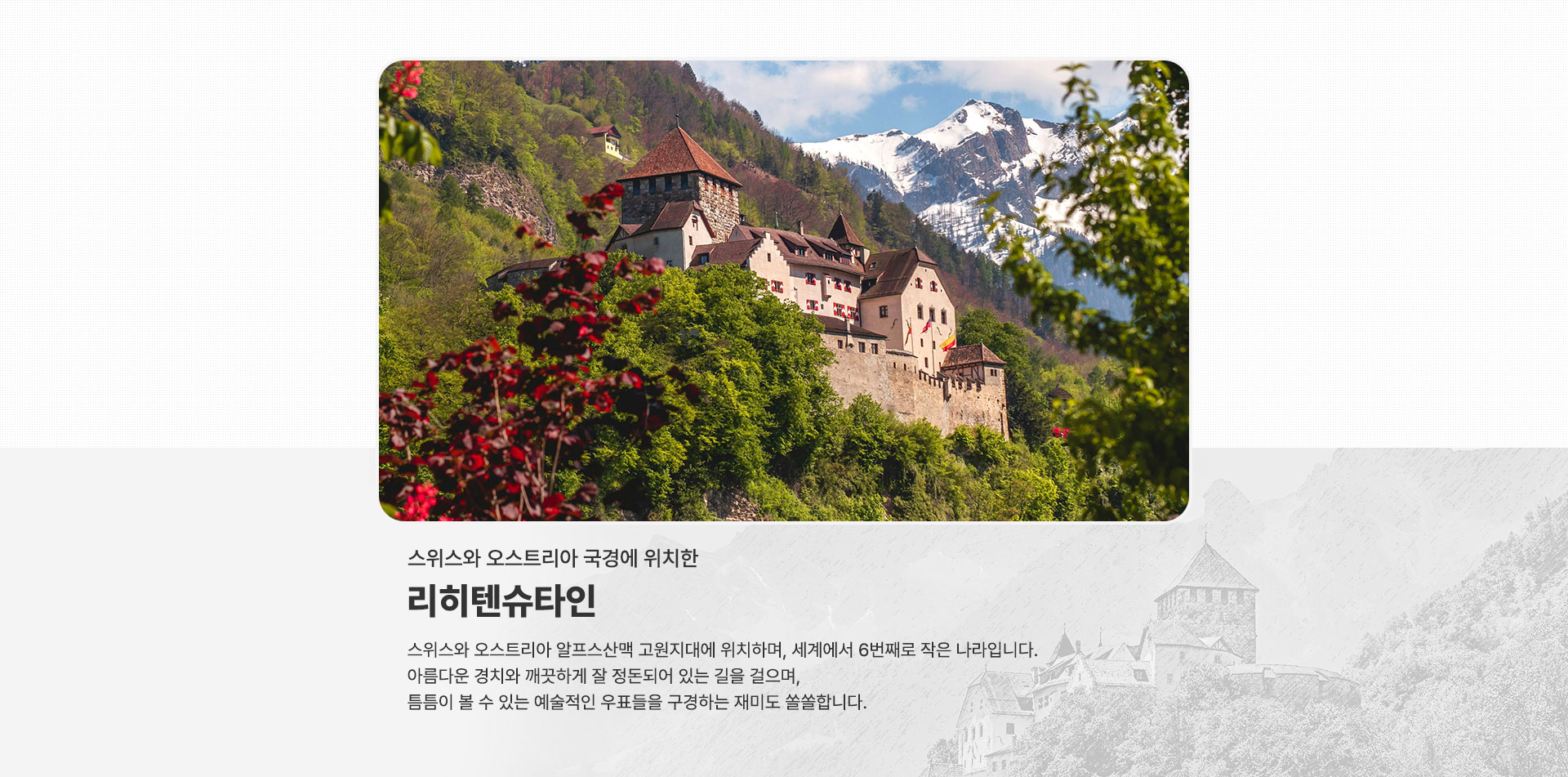 컨텐츠