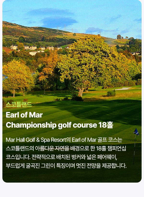 컨텐츠